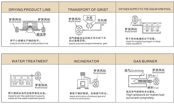 罗茨鼓樱桃视频污污污在中央供料系统中重要吗？